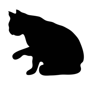 一只坐着的猫的剪影.在白色背景上隔离的猫剪影照片