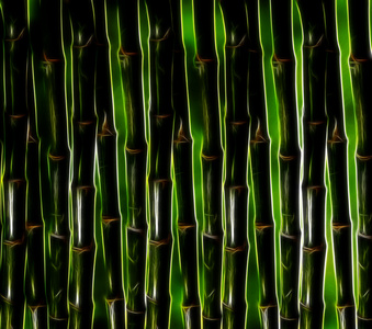 天然竹。背景图像
