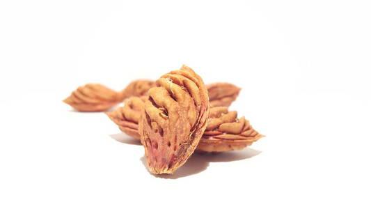 油桃种子艺术设计.艺术与工艺照片