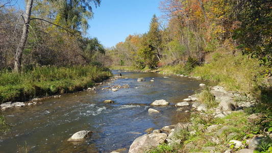 平静流动的秋河在北美加拿大。秋季景观
