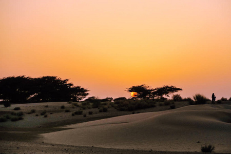 在沙丘后面美丽的日落与骆驼 caravane 在远征入沙漠