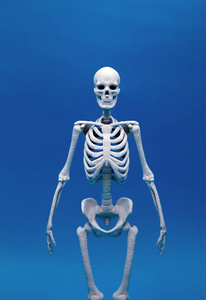 人骨钙在模糊色彩背景中的健康概念