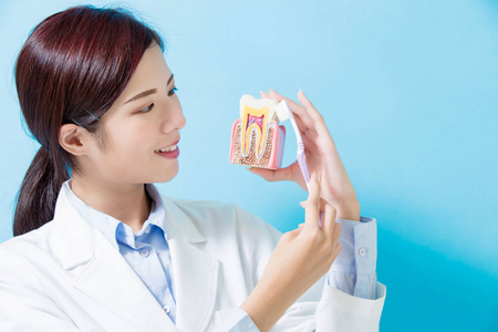妇女牙医采取健康牙齿和牙齿刷在蓝色背景
