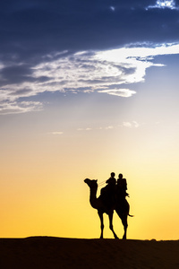 当地的沙漠走着骆驼穿越沙漠
