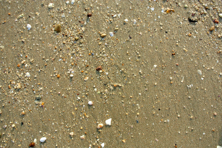 海砂纹理背景