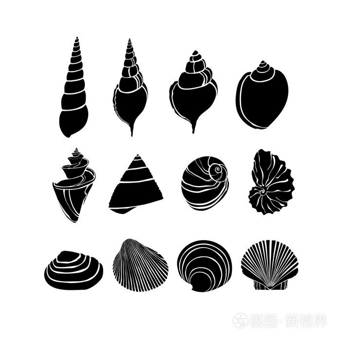 海贝壳剪影集合
