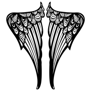 翅膀简单手绘图片