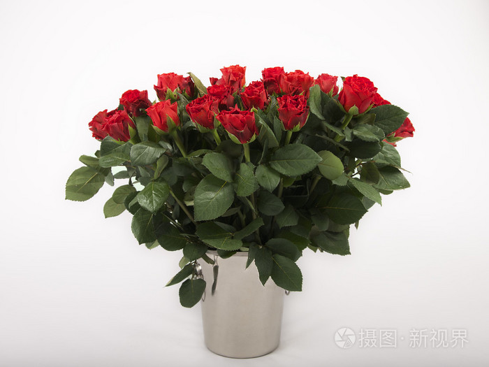 束玫瑰花在肮脏的灰色背景 大束红色玫瑰 春天背景 周年花束 许多孤立的白色背景 40 玫瑰 45 玫瑰 百万玫瑰的红玫瑰照片 正版商用图片0acu4h 摄图新视界