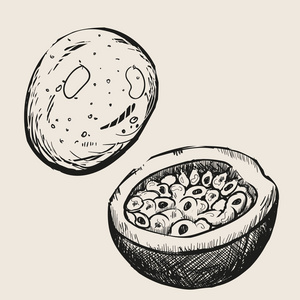 手绘马拉库加百香果, 一帮.有机营养健康食品.