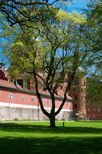 在 gripsholm 城堡公园