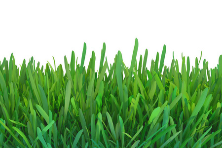 种植草坪.3d 渲染自然背景照片