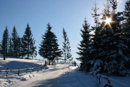 冬季风景与雪