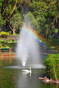 在光辉壮丽彩虹喷泉水柱