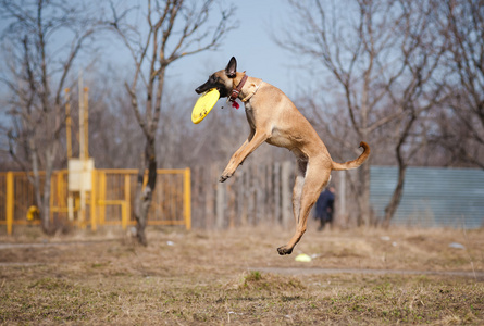 汽车修理工在汽车修理车间用金属磨床切割汽车轴承的一个汽车修理工在