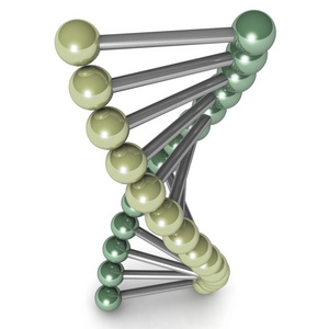 数字说明了 dna