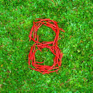 8个红色辣椒的符号形状