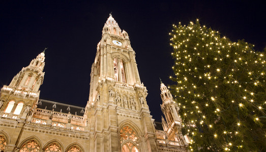 维也纳市政厅的圣诞树