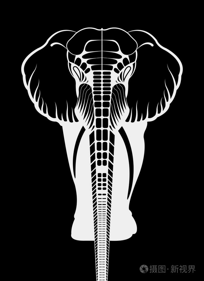 白色的大象剪影动物