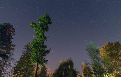 美丽的夜空, 银河和树木, 秋季版