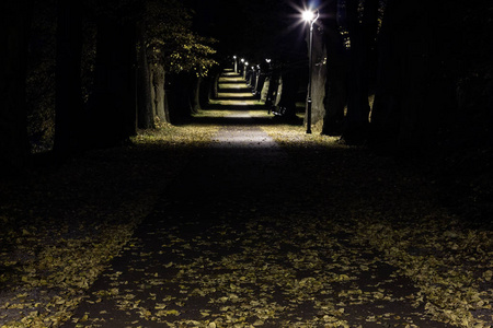 夜公园与胡同晚秋天图片