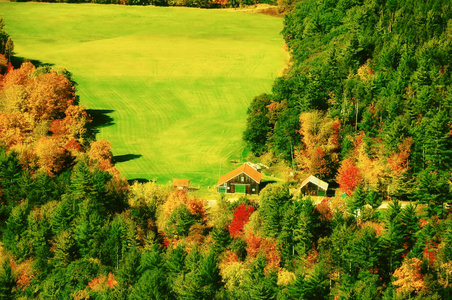 从上面的秋天森林森林和一个农田在森林里的看法。白色山国家森林。美国
