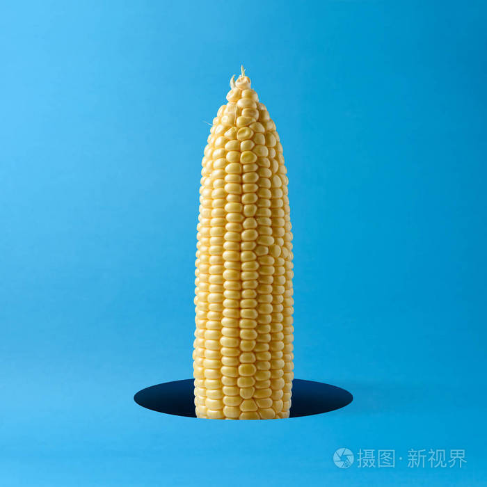 明亮的蓝色背景上的玉米芯食品创意理念
