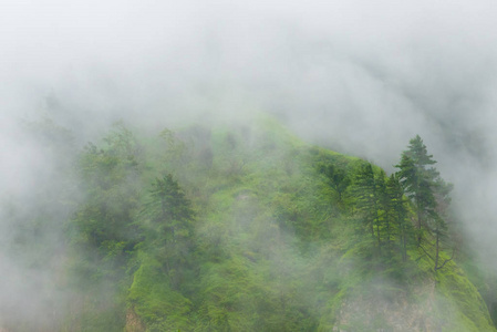 布尔纳保护区的自然景观, 是登山爱好者和尼泊尔最大保护区的热点地区