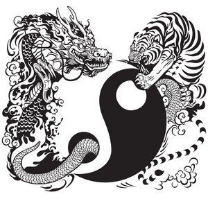 龙与虎图片