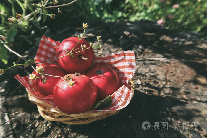 在柳条篮中的红色小苹果。森林礼物。阳光花园