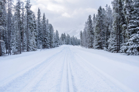 下雪的路穿过森林在一个多云的冬天。马路上的一辆小汽车在远处可见。班夫, Ab, 加拿大