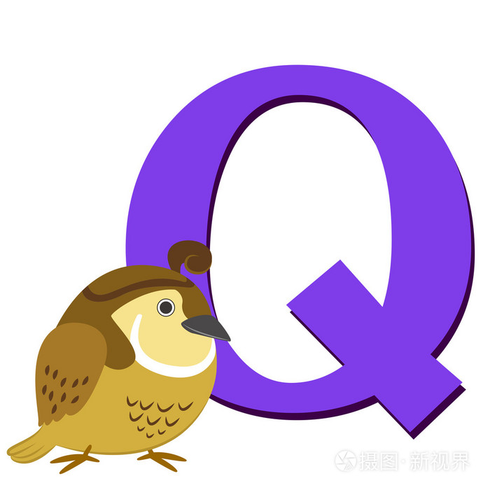 动物字母 q
