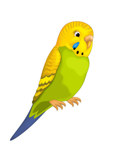 虎皮鹦鹉死亡图图片-虎皮鹦鹉死亡图素材-虎皮鹦鹉死亡图插画-摄图新