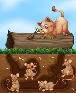 猫在洞里等老鼠的插图