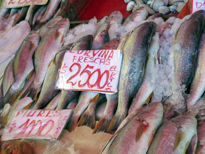 梅尔卡多冒号新 corvina 鱼出售在开放的空气市场上的波多黎各蒙特
