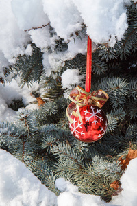 红色的圣诞球挂在云杉树枝上覆盖着积雪。绿色云杉树和红色玩具球在冬季城市公园。圣诞节或新年作文