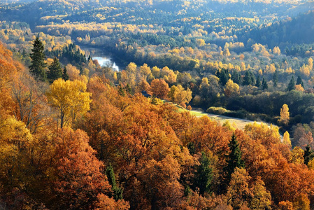 在秋天的多彩森林小丘。拉脱维亚锡古尔达