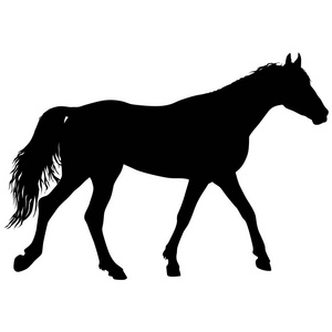 黑色野马马插图动物剪影照片