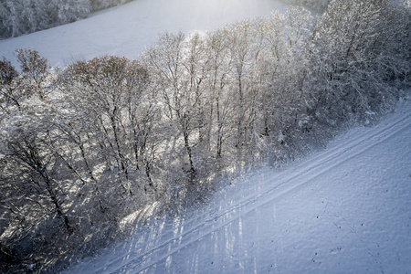 阳光明媚的冬日白雪覆盖森林的鸟瞰图