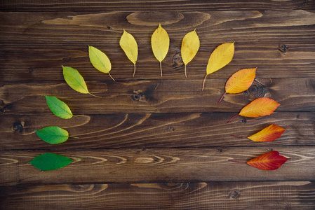 在木质背景下, 从绿色到红色, 在一个半圆形的树叶上摆放着秋天的叶子。改变季节的概念