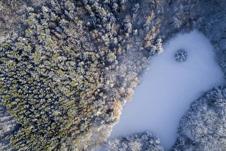 阳光明媚的冬日白雪覆盖森林的鸟瞰图