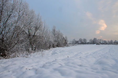 在蓝色天空背景上雪白色冬季森林