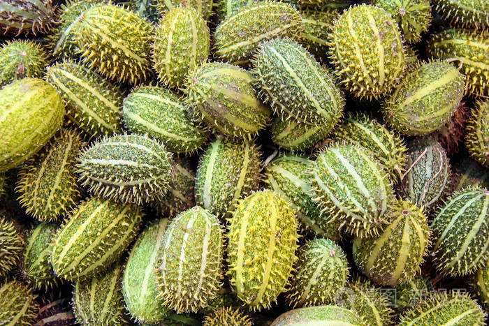 瓜anguriacackrey栗色黄瓜西印度黄瓜和西印度葫芦装饰水果黄色和绿色