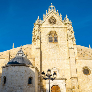 西班牙帕伦西亚哥特式大教堂 卡斯蒂利亚和莱昂 的景色