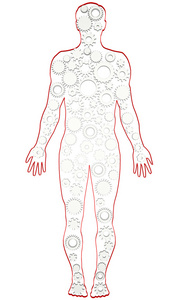 人的剪影人体照片