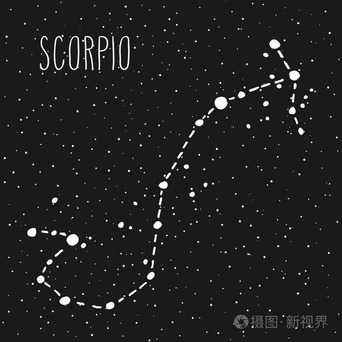 天蝎座手画星座星座在白色的黑色星空夜空矢量图形占星术插图西方占星