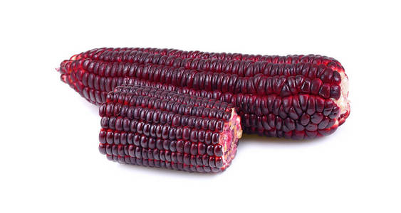 在白色背景上分离的紫色玉米
