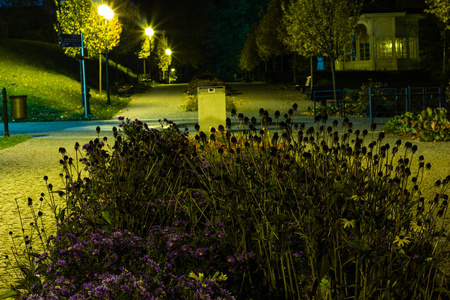 城市公园的夜景里有一个休息的地方春天的夜晚城市公园的景观