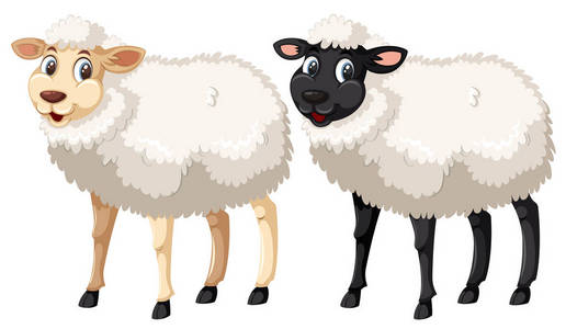 白色和黑色的羊图片-白色和黑色的羊素材-白色和黑色的羊插画-摄图新