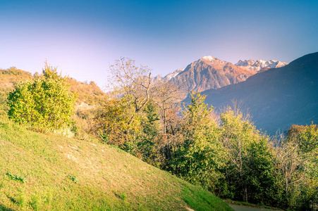 秋天的 Colorfull 全景, 黄色的树和彩色的天空