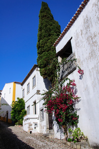 在葡萄牙的奥比都斯的中世纪城镇的传统建筑